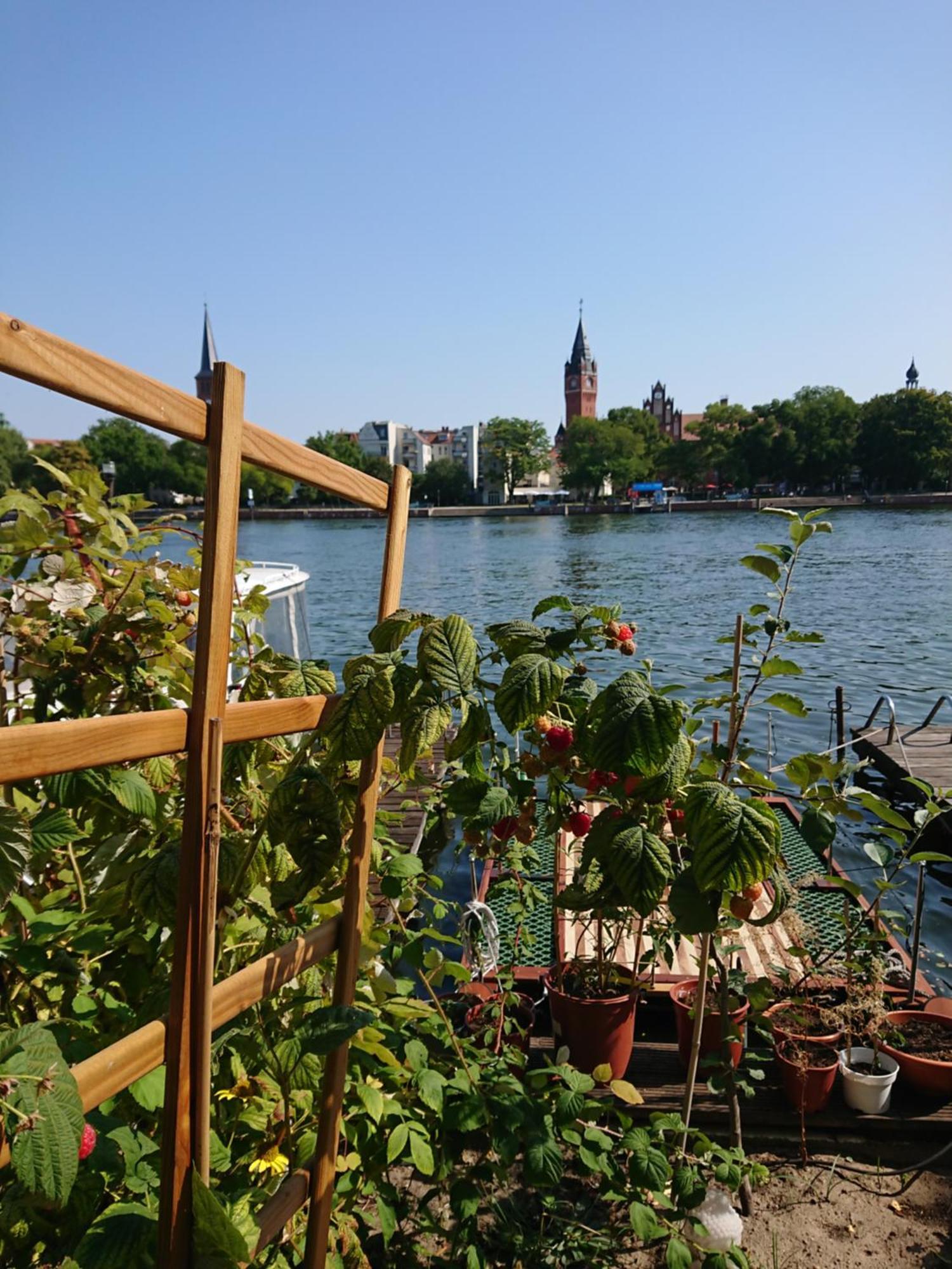 Ferienwohnung Dahme Berlin Am Wasser Exteriör bild